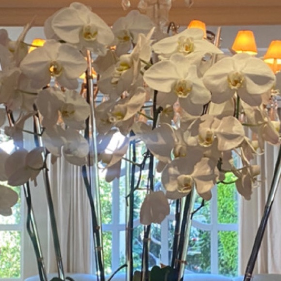 Meet your Posher - Picture 1 of 1